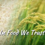 Feeding 1.4 Billion: How Science and Technology Secure China's Food Future video poster