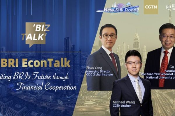 Financial Cooperation Shaping the Future of the Belt and Road Initiative video poster