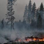 Firefighters_Contain_Major_Grass_Fire_Threatening_Homes_in_Southwestern_Sydney