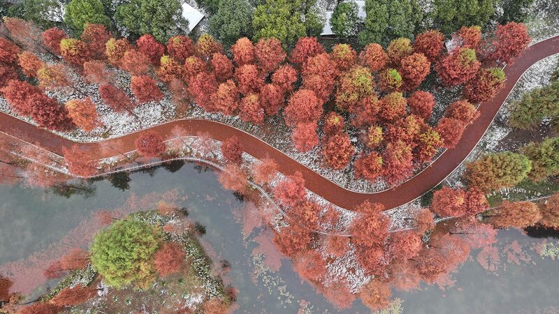 First Snow Transforms Dream Island into Winter Fairyland
