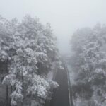 First_Snow_Transforms_Guizhou_s_Tea_Mountain_into_a_Silver_Wonderland video poster