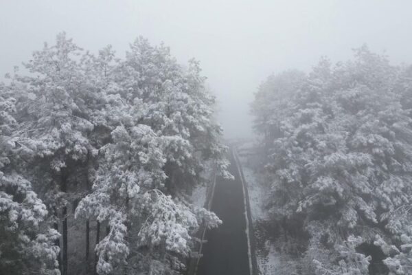 First Snow Transforms Guizhou’s Tea Mountain into a Silver Wonderland First_Snow_Transforms_Guizhou_s_Tea_Mountain_into_a_Silver_Wonderland video poster