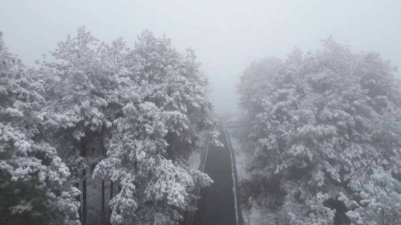First_Snow_Transforms_Guizhou_s_Tea_Mountain_into_a_Silver_Wonderland_poster - Khabar Asia First_Snow_Transforms_Guizhou_s_Tea_Mountain_into_a_Silver_Wonderland video poster