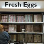 First_U_S__Case_of_H5N1_Bird_Flu_Detected_in_Pig_on_Oregon_Farm