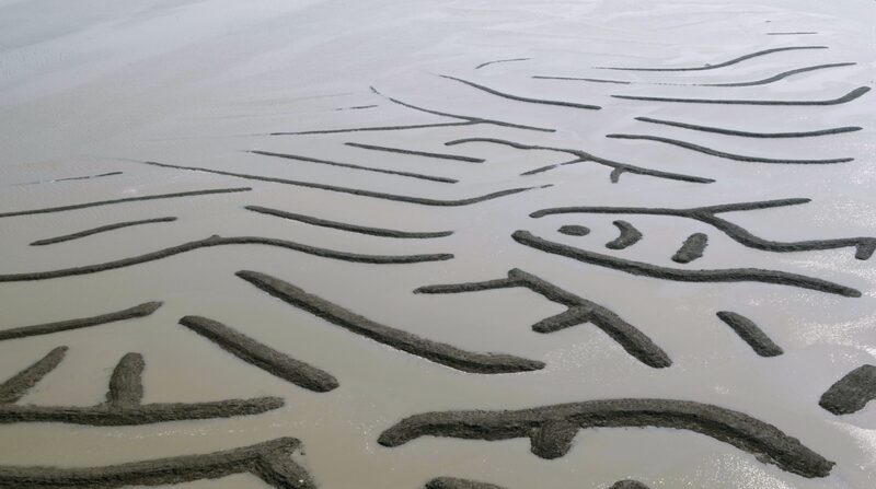Fishermen_Craft_Oracle_Bone-Like_Patterns_on_Fujians_Mudflats_poster - Khabar Asia Fishermen Craft Oracle Bone-Like Patterns on Fujian's Mudflats video poster