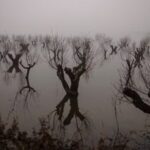 Flooded Greek Farmlands Highlight Risks of Extreme Weather for European Agriculture