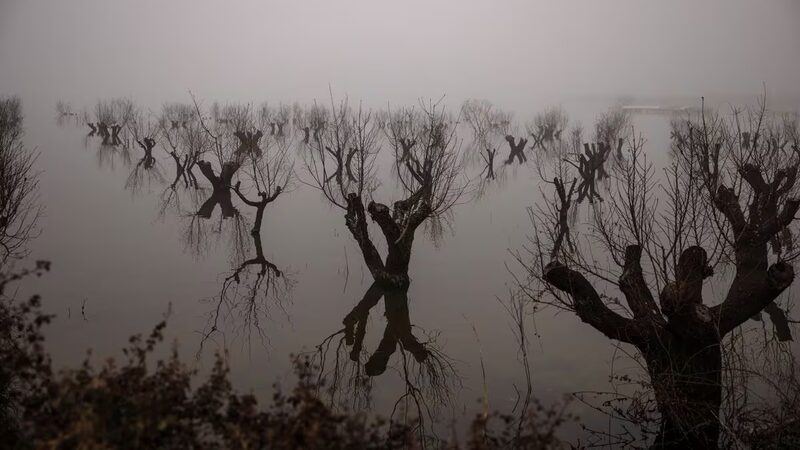 Flooded_Greek_Farmlands_Highlight_Risks_of_Extreme_Weather_for_European_Agriculture - Khabar Asia Flooded Greek Farmlands Highlight Risks of Extreme Weather for European Agriculture