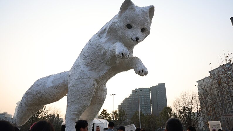 Florentijn_Hofmans_Lets_Jump_Arctic_Fox_Captivates_Shanghai - Khabar Asia Florentijn Hofman's 'Let's Jump' Arctic Fox Captivates Shanghai