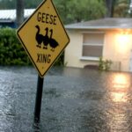 Florida's Hurricane Season Starts with Severe Flooding Amid Climate Change Warnings