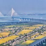 Foreign Investors Express Confidence in China's Economic Growth Potential