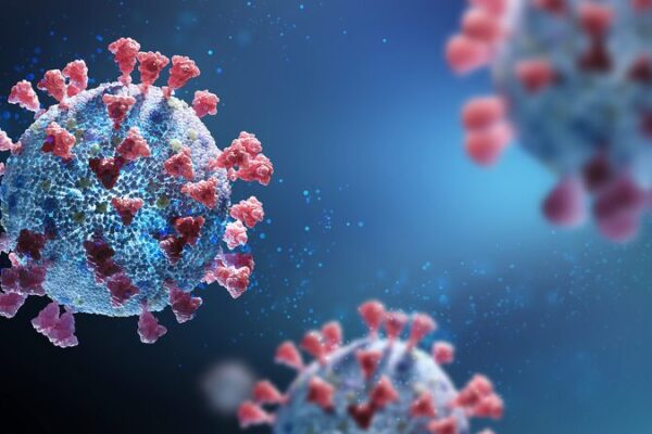 Former CDC Director Suggests COVID-19 Virus Was Engineered in Chapel Hill Former_CDC_Director_Suggests_COVID_19_Virus_Was_Engineered_in_Chapel_Hill
