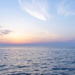 Fossil_Fuel_Threat_Looms_Over_the__Amazon_of_the_Seas_