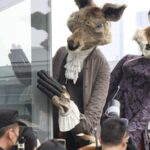 French "Fables of La Fontaine" Puppetry Enchants Changsha Audiences