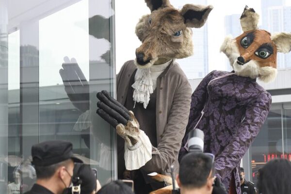 French “Fables of La Fontaine” Puppetry Enchants Changsha Audiences French "Fables of La Fontaine" Puppetry Enchants Changsha Audiences