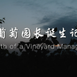 From Barren Lands to Vineyards: The Inspiring Journey of Wang Yueying video poster