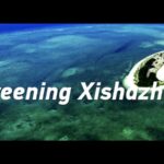 From Barren to Green: Xishazhou's Ecological Transformation in the South China Sea video poster
