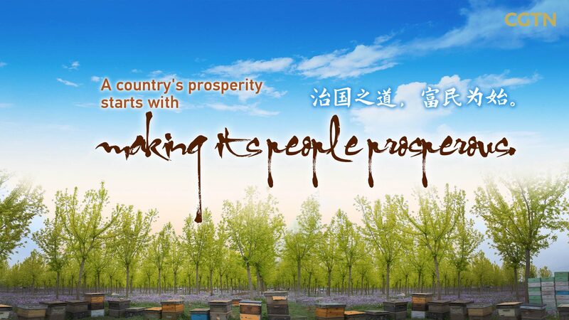 From Bees to Prosperity: Miyun's Beekeepers Thrive Through Ancient Wisdom and Innovation video poster