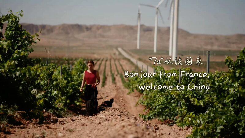 From_Bordeaux_to_Ningxia_French_Oenophile_Finds_New_Home_in_Chinas_Wine_Country_poster - Khabar Asia From Bordeaux to Ningxia: French Oenophile Finds New Home in China's Wine Country video poster