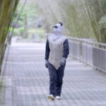 From Captivity to the Wild: Wolong Reserve's Mission to Rewild Giant Pandas video poster