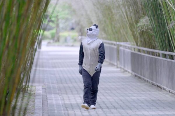 From Captivity to the Wild: Wolong Reserve’s Mission to Rewild Giant Pandas From Captivity to the Wild: Wolong Reserve's Mission to Rewild Giant Pandas video poster