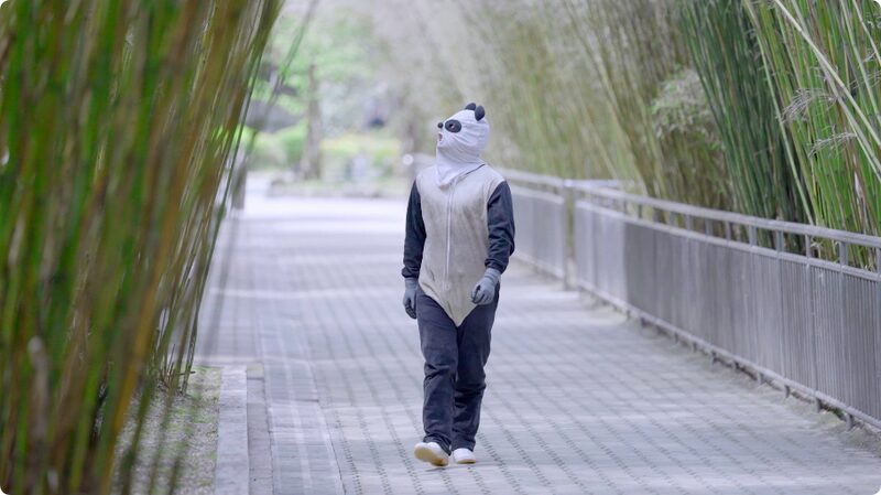From_Captivity_to_the_Wild_Wolong_Reserves_Mission_to_Rewild_Giant_Pandas_poster - Khabar Asia From Captivity to the Wild: Wolong Reserve's Mission to Rewild Giant Pandas video poster