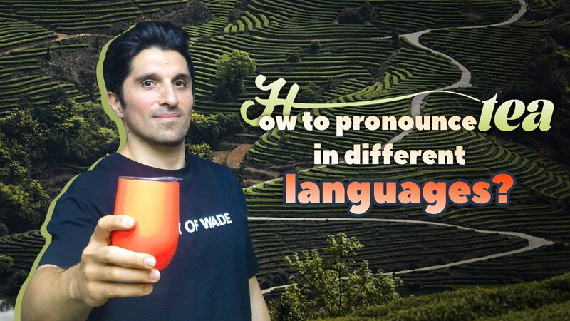 From_Cha_to_Chai_How_Tea_is_Pronounced_Around_the_World_poster - Khabar Asia From 'Cha' to 'Chai': How Tea is Pronounced Around the World video poster