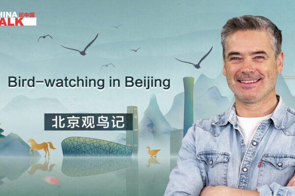From City Streets to Skies: How Beijing Became a Birdwatcher's Paradise video poster