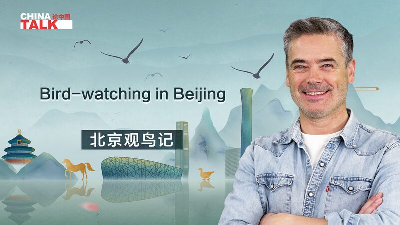 From_City_Streets_to_Skies_How_Beijing_Became_a_Birdwatchers_Paradise_poster - Khabar Asia From City Streets to Skies: How Beijing Became a Birdwatcher's Paradise video poster