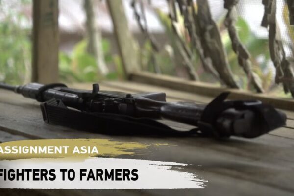 From Conflict to Cultivation: Kauswagan’s ‘Arms to Farms’ Program Transforms Lives From Conflict to Cultivation: Kauswagan's 'Arms to Farms' Program Transforms Lives video poster