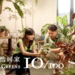 From Corporate Stress to Garden Bliss: A Tale of Healing Through Plants video poster