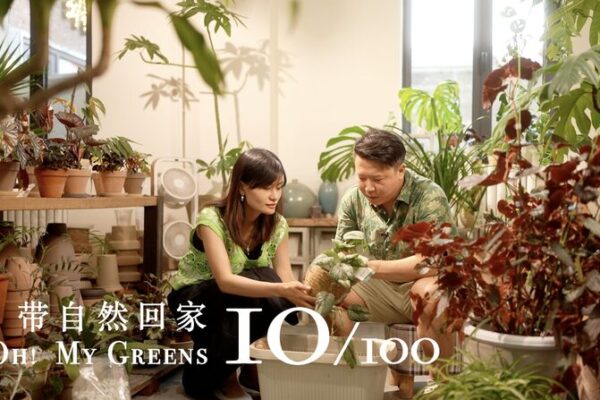 From Corporate Stress to Garden Bliss: A Tale of Healing Through Plants From Corporate Stress to Garden Bliss: A Tale of Healing Through Plants video poster