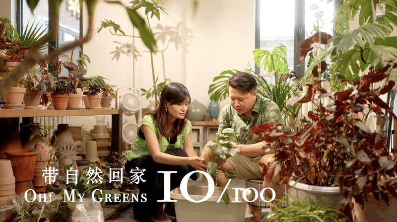 From Corporate Stress to Garden Bliss: A Tale of Healing Through Plants video poster