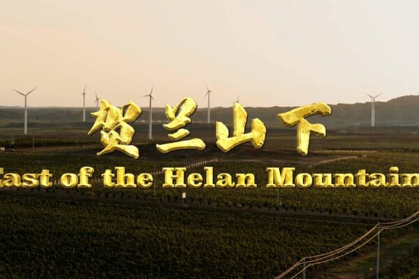 From Desert Sands to Vineyards: Ningxia's Rise East of the Helan Mountains video poster