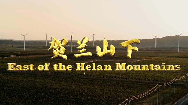 From_Desert_Sands_to_Vineyards_Ningxias_Rise_East_of_the_Helan_Mountains_poster - Khabar Asia From Desert Sands to Vineyards: Ningxia's Rise East of the Helan Mountains video poster