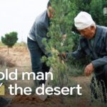 From_Desert_to_Forest__China_s_Journey_Towards_Harmony_with_Nature_poster - Khabar Asia From_Desert_to_Forest__China_s_Journey_Towards_Harmony_with_Nature video poster