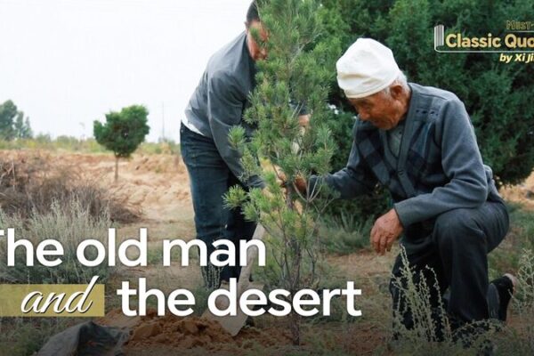 From_Desert_to_Forest__China_s_Journey_Towards_Harmony_with_Nature video poster