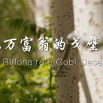 From Desert to Vineyard: Fujian Merchant Transforms Gobi Wasteland video poster