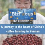 From Farm to Cup: How Yunnan Is Brewing China's Coffee Future video poster