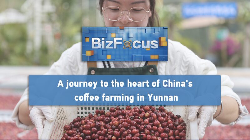 From Farm to Cup: How Yunnan Is Brewing China's Coffee Future video poster