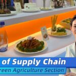 From Farm to Table: Inside the Green Agriculture Showcase at China's Supply Chain Expo video poster