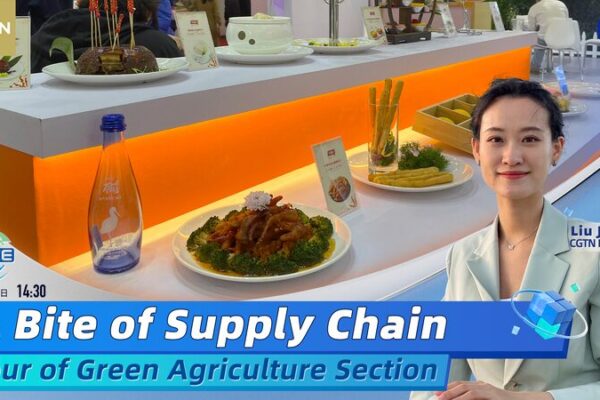 From Farm to Table: Inside the Green Agriculture Showcase at China’s Supply Chain Expo From Farm to Table: Inside the Green Agriculture Showcase at China's Supply Chain Expo video poster