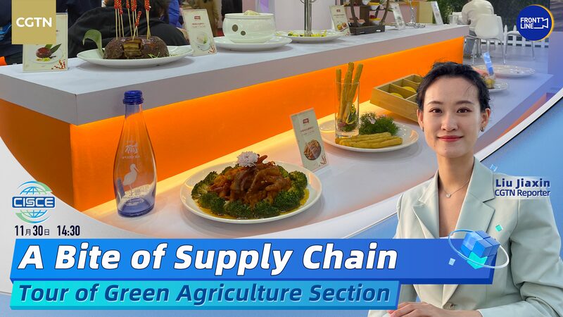 From_Farm_to_Table_Inside_the_Green_Agriculture_Showcase_at_Chinas_Supply_Chain_Expo_poster - Khabar Asia From Farm to Table: Inside the Green Agriculture Showcase at China's Supply Chain Expo video poster