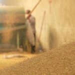 From Field to Plate: Soybean Harvest Ends in China's Tofu Town Shipai video poster