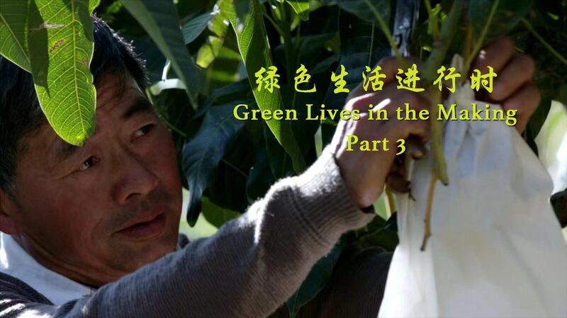 From Fisherman to Mango Farmer: Protecting the Yangtze River in Sichuan video poster