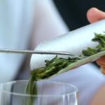 From Frost to Fragrance: The Unique Charm of Rizhao Green Tea video poster