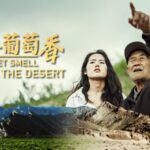 From_Gobi_Desert_to_Wine_Haven__Ningxia_s_Miraculous_Vineyard_Transformation video poster