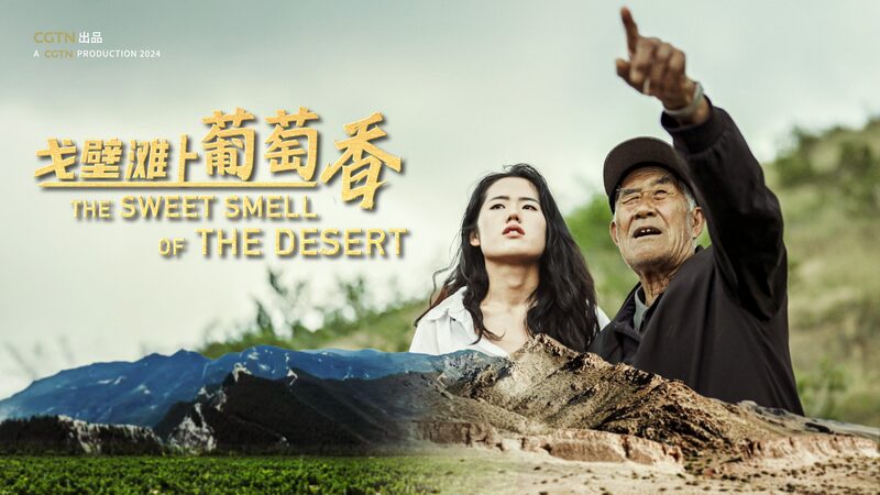 From_Gobi_Desert_to_Wine_Haven__Ningxia_s_Miraculous_Vineyard_Transformation_poster - Khabar Asia From_Gobi_Desert_to_Wine_Haven__Ningxia_s_Miraculous_Vineyard_Transformation video poster