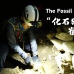From Ice Climber to Fossil Hunter: The Passionate Journey of Cui Qingwu video poster