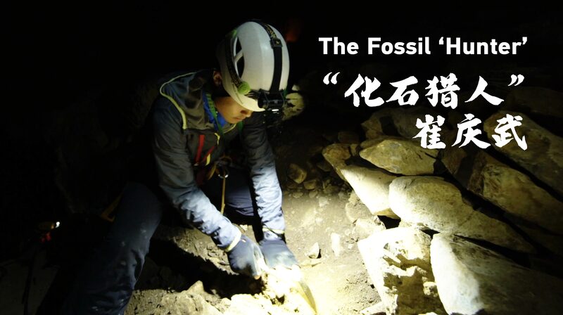 From Ice Climber to Fossil Hunter: The Passionate Journey of Cui Qingwu video poster