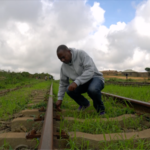 From Makambako to China: Tanzanian's Life Transformed by Railway Education video poster